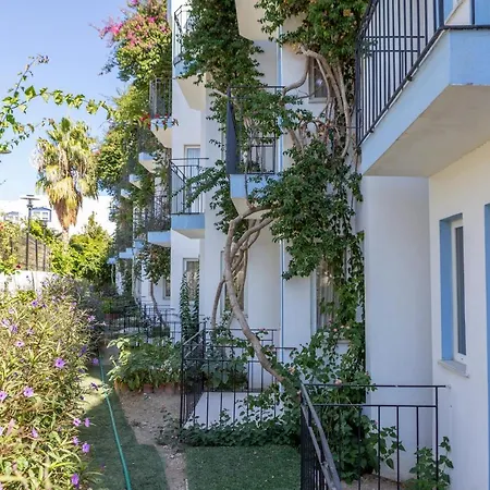 Отель Smart Bodrum 4*